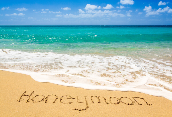 Romantic memory of honeymoon on tropical island Picture Board by Steve Heap