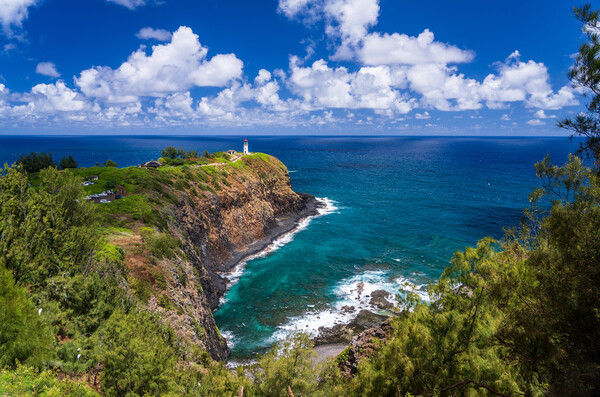 Kilauae lighthouse on headland against blue sky on Kauai Picture Board by Steve Heap