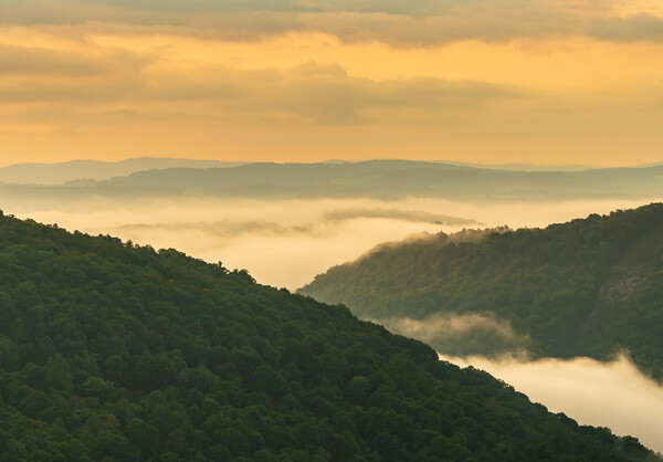 Mist swirling over Cheat River gorge at sunrise near Raven Rock Picture Board by Steve Heap