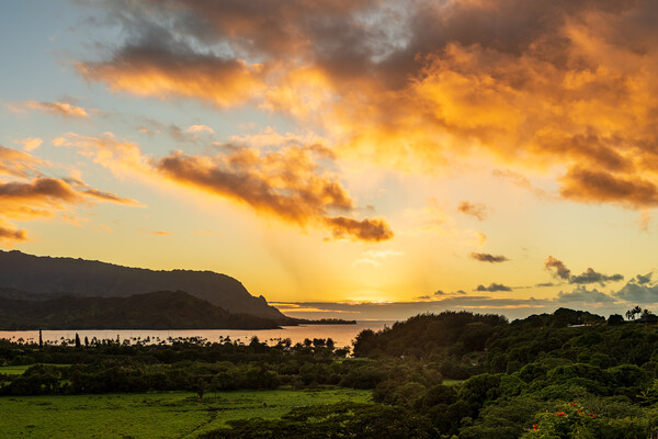 Sunset over Hanalei bay from overlook on the road Picture Board by Steve Heap