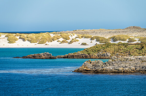 White sandy beaches near Port Stanley on Falkland Islands on sun Picture Board by Steve Heap