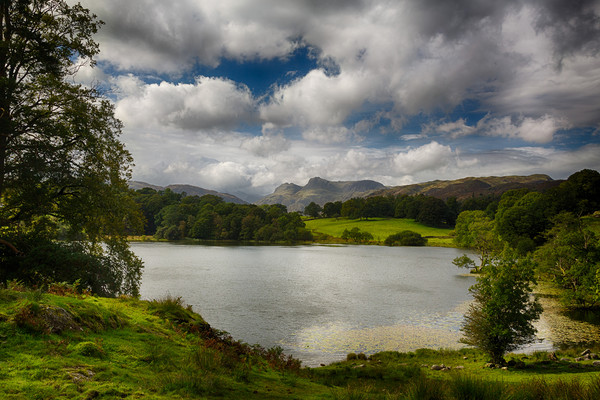 Loughrigg Tarn in Lake District Picture Board by Steve Heap