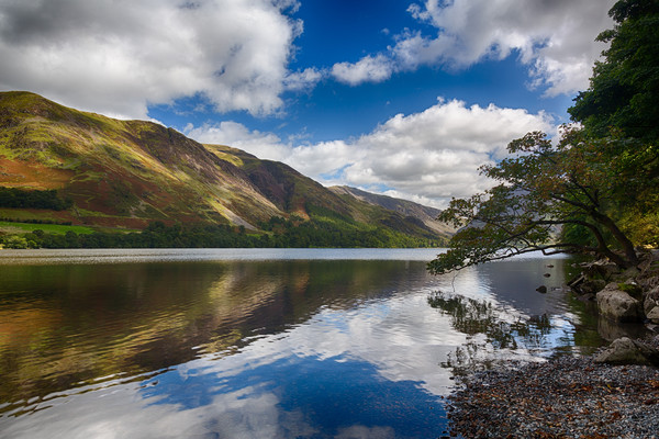 Reflections in Buttermere in Lake District Picture Board by Steve Heap