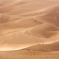Buy canvas prints of People on Great Sand Dunes NP  by Steve Heap