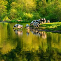 Buy canvas prints of Digital art of cows in River Dee outside Llangolle by Steve Heap