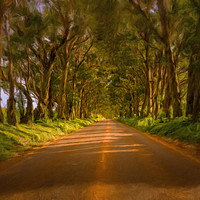Buy canvas prints of Famous Tree Tunnel of Eucalyptus on Kauai by Steve Heap