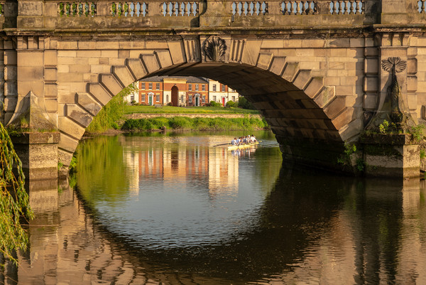 Rowers under English Bridge in Shrewsbury Picture Board by Steve Heap