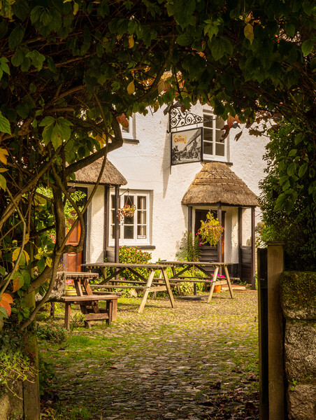Thatched pub garden in Lustleigh in Devon Picture Board by Steve Heap