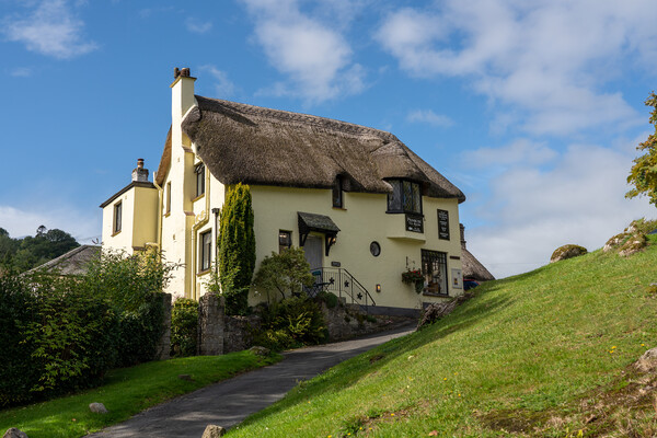 Thatched tea shop by the village green of Lustleigh in Devon Picture Board by Steve Heap