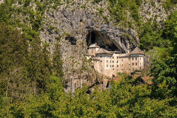 Predjama castle built into a cave in Slovenia Picture Board by Steve Heap