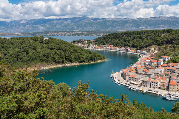 Picturesque small riverside town of Novigrad in Croatia Picture Board by Steve Heap