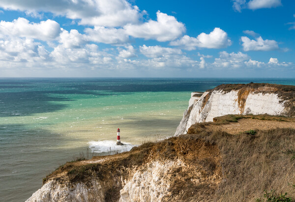 Beachy Head lighthouse on windy day Picture Board by Steve Heap