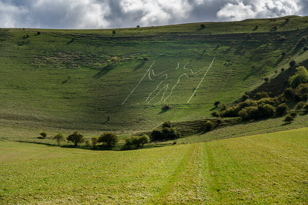 Wilmington Long Man in Cuckmere Valley near Eastbourne Picture Board by Steve Heap