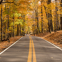 Buy canvas prints of Outdoor road by Steve Heap