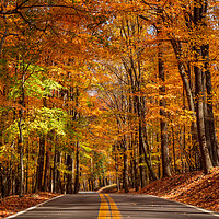 Buy canvas prints of Road leading to Coopers Rock state park overlook in West Virgini by Steve Heap