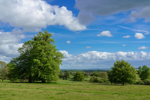 Scene across farmland in Herefordshire in UK Picture Board by Steve Heap