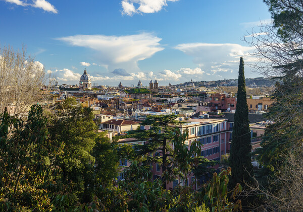 Skyline of the city of Rome, Italy Picture Board by Steve Heap
