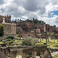 Buy canvas prints of Church of St Cosma and Damion in Rome by Steve Heap
