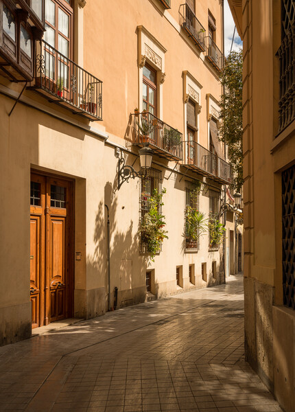 Narrow peaceful street in old town of Valencia Spain Picture Board by Steve Heap