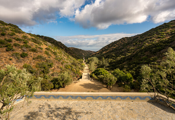 Wrigley memorial and botanic gardens on Catalina Island Picture Board by Steve Heap