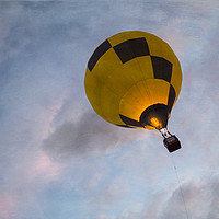 Buy canvas prints of Flying High by Jackie Davies