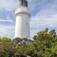 Buy canvas prints of Cape Schanck Lighthouse by Jackie Davies