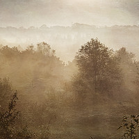 Buy canvas prints of Autumn Mists by Jackie Davies