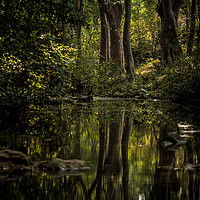 Buy canvas prints of Pench Landscape by Indranil Bhattacharjee