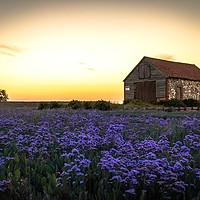 Buy canvas prints of Purple sunset by Ashley Taylor