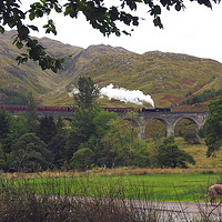 Buy canvas prints of Back to Fort William by Peter Balfour