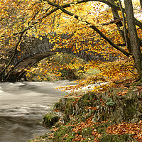 Buy canvas prints of River Brathay, Clappersgate, Lake District, Cumbri by David Bigwood
