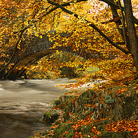 Buy canvas prints of England: River Brathay at Clappersgate, Cumbria by David Bigwood