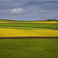Buy canvas prints of Fields at the bottom of St Bees Head, Cumbria by David Bigwood