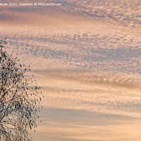 Buy canvas prints of An Evening Sky by Peter Zabulis