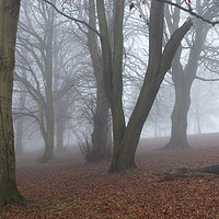 Buy canvas prints of A foggy morning by Peter Zabulis