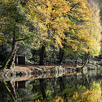 Buy canvas prints of Autumn Reflected by Peter Zabulis