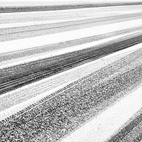 Buy canvas prints of Snow Lines by Peter Zabulis