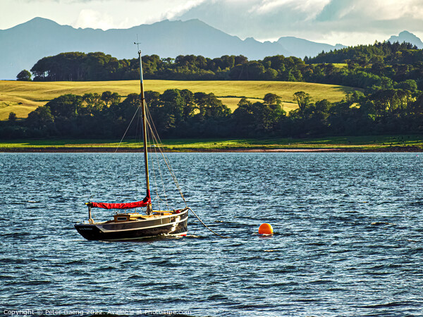 Moored Sailing Boat - Largs - Scotland Picture Board by Peter Gaeng