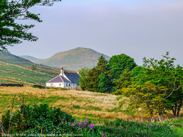 Cottage in the Scottish mountains  Picture Board by Peter Gaeng