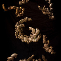 Buy canvas prints of Floating ginger roots by Corey Edwards