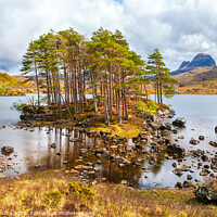 Buy canvas prints of Suilven and Glen Canisp, Assynt, Scotland by geoff shoults