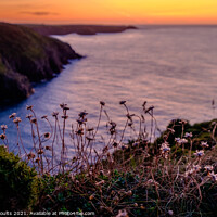 Buy canvas prints of Trefin sunset by geoff shoults