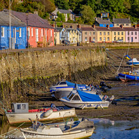 Buy canvas prints of Fishguard, low tide by geoff shoults