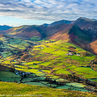 Buy canvas prints of The Newlands Valley by geoff shoults