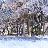 Buy canvas prints of Peak District woodland in winter by geoff shoults