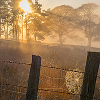 Buy canvas prints of  Fog in the hills of the Peak District, Derbyshire by geoff shoults