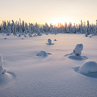 Buy canvas prints of Finnished, the end of the day in Lapland by geoff shoults