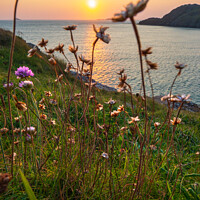 Buy canvas prints of St David's Head Sunset by geoff shoults