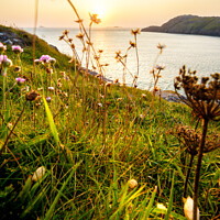 Buy canvas prints of St Davids sunset by geoff shoults