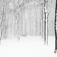 Buy canvas prints of Winter in monochrome by geoff shoults